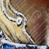 John - genymars.artsvisuels