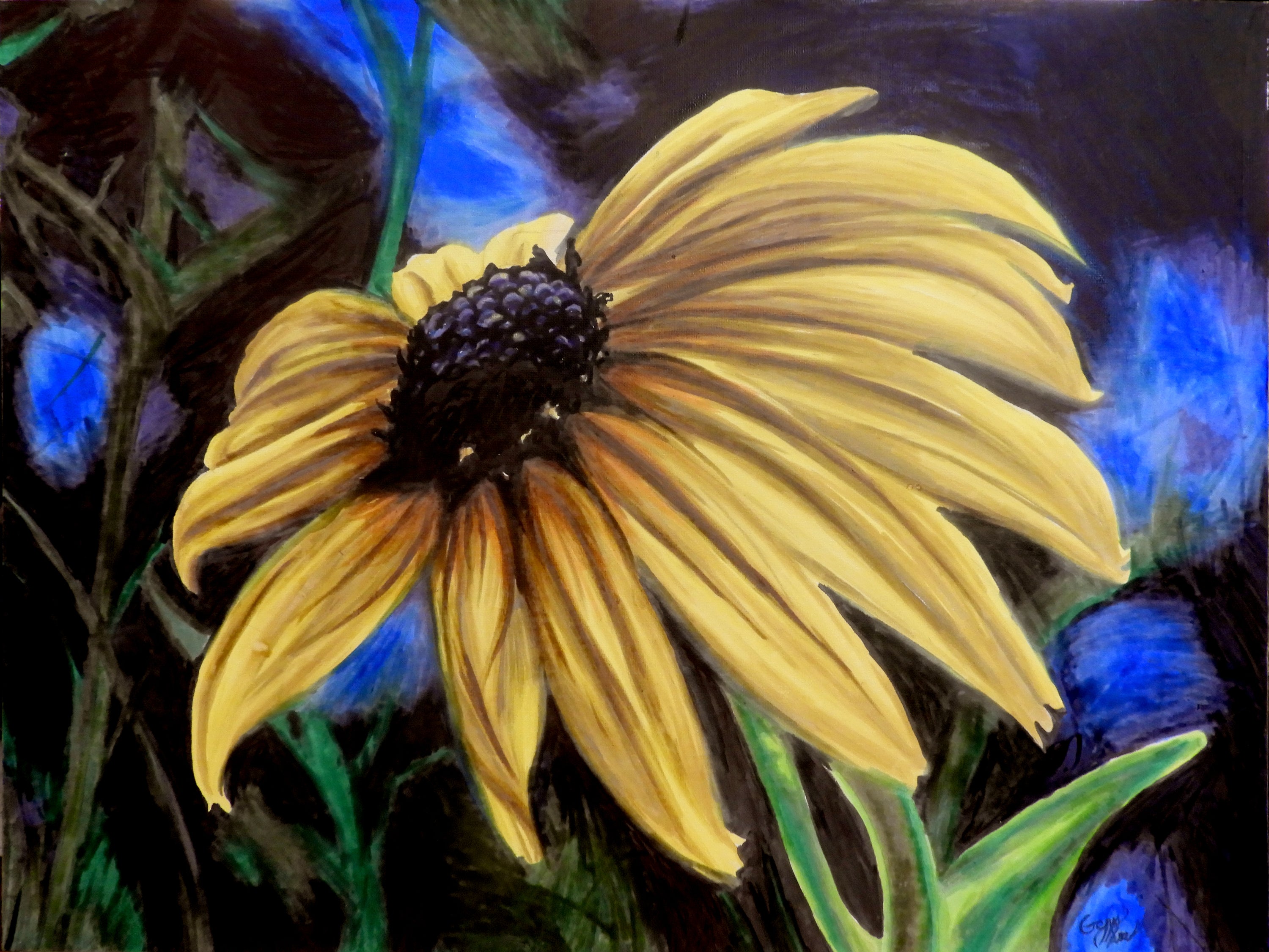 La marguerite jaune